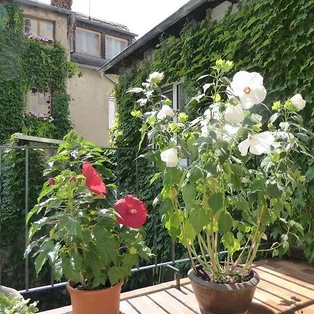 Garni Guenther Boppard